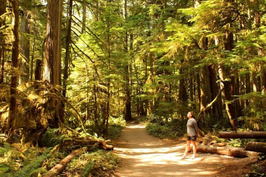 Seattle: Olympic National Park Small-Group Tour - Why this day trip works from Seattle
