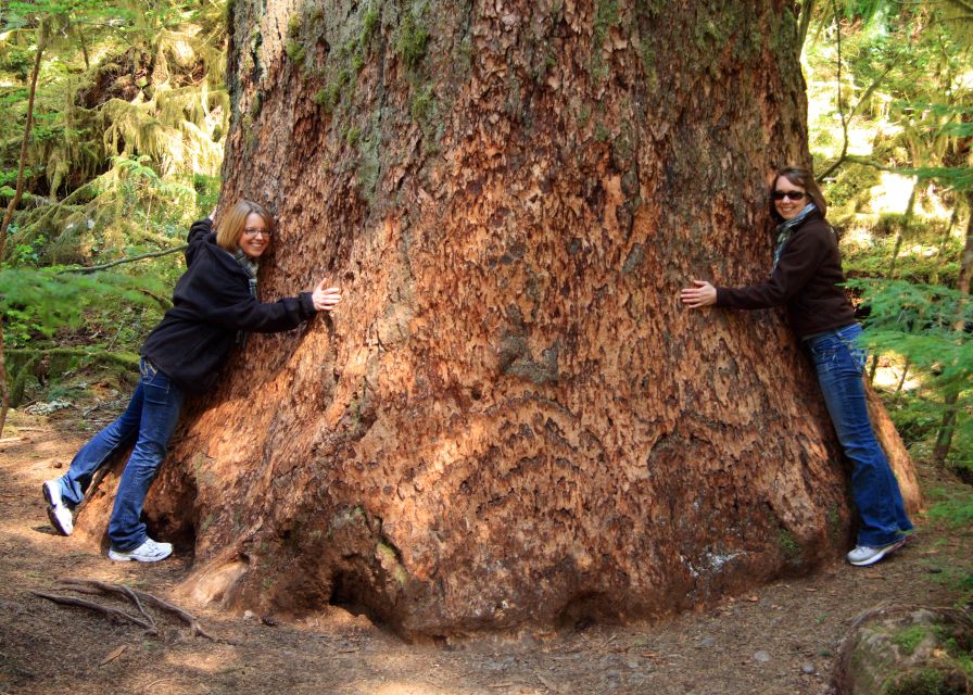 Seattle: Olympic National Park Small-Group Tour - Hurricane Ridge and the high country