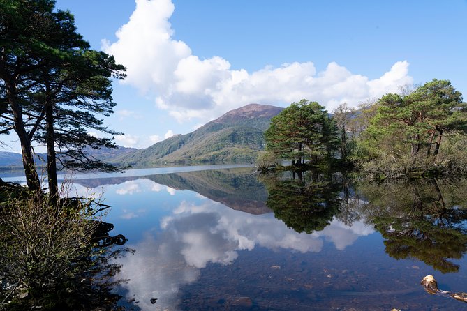 Self-Guided Bike Tour of Killarney National Park, Muckross Gardens & Waterfall - Muckross Abbey: Stonework, silence, and a remarkable yew