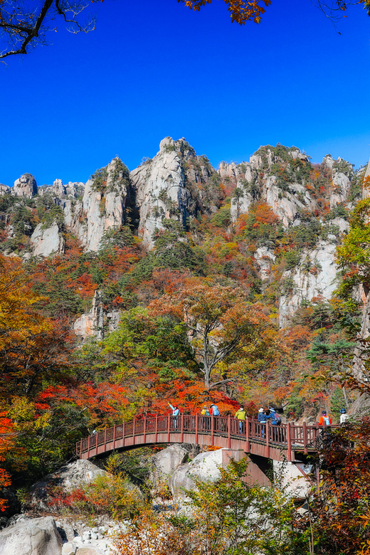 Seoul: Mt. Seoraksan National Park Autumn Foliage Day Tour - Quick takeaways before you book