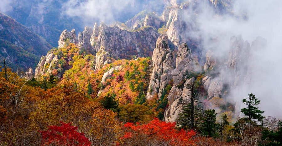 Seoul: Mt. Seoraksan National Park Autumn Foliage Day Tour - Why Seoraksan makes a strong autumn day trip