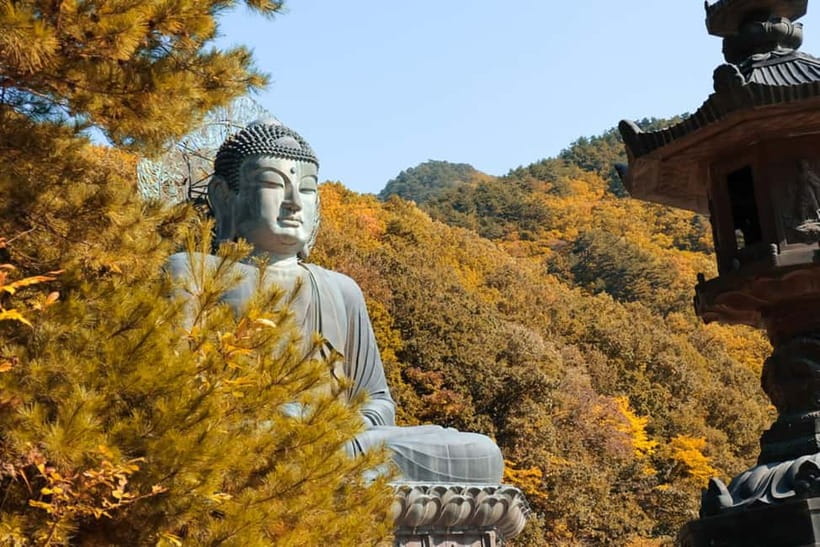 Seoul: Mt. Seoraksan National Park Autumn Foliage Day Tour - Arriving around 10 a.m. at Seoraksan