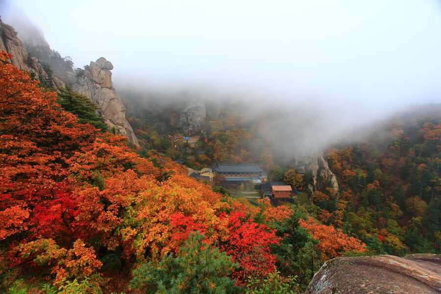 Seoul: Mt. Seoraksan National Park Autumn Foliage Day Tour - Choosing between easy walks and Ulsanbawi