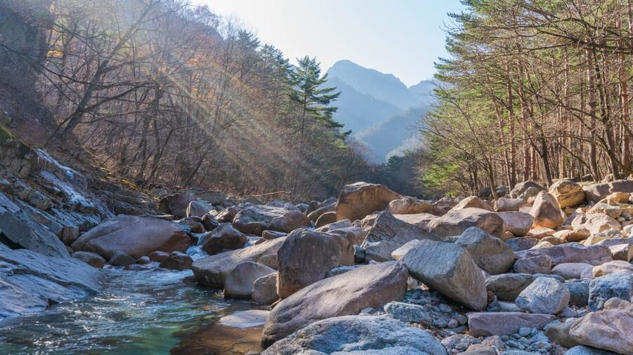 Seoul: Mt. Seoraksan National Park Autumn Foliage Day Tour - The cable car question