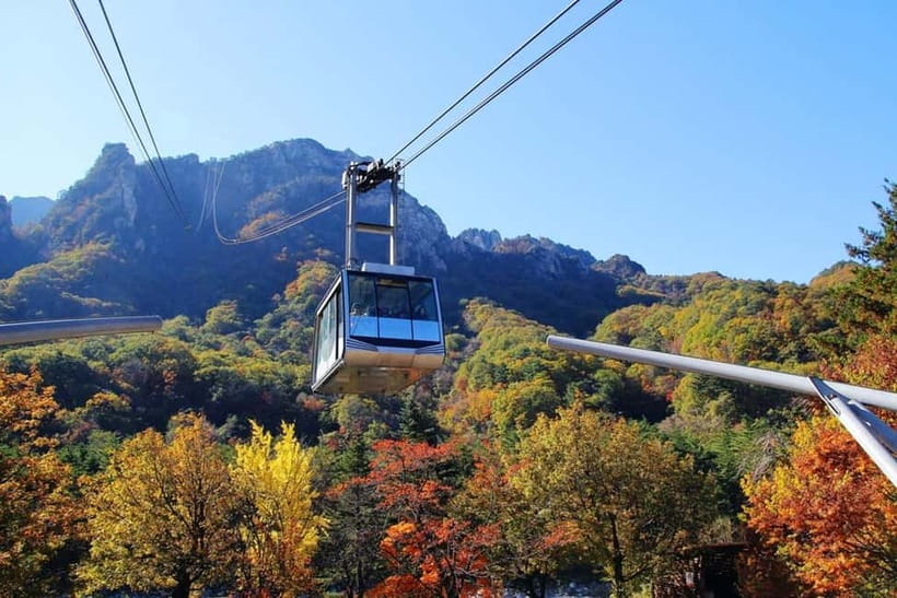 Seoul: Mt. Seoraksan National Park Autumn Foliage Day Tour - The staff and the group experience