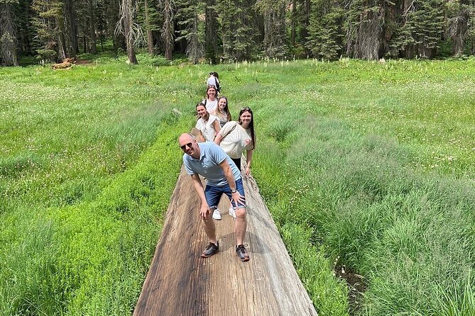 Sequoia Majesty Small Group Tour from Three Rivers. - Why a small group works well in Sequoia National Park
