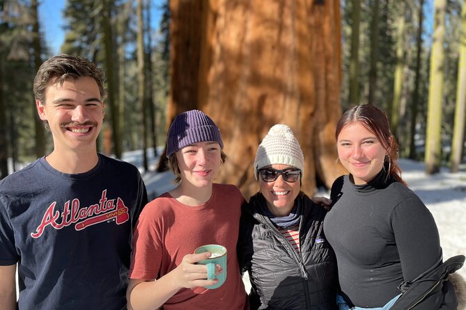 Sequoia Majesty Small Group Tour from Three Rivers. - Tunnel Log and Auto Log