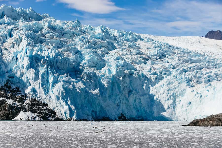 Seward: Kenai Fjords National Park Catamaran Cruise w/Lunch - Checking in at Harbor 360 Hotel