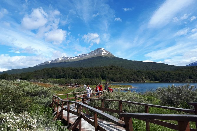 Shore Excursion - National Park Tierra del Fuego - Why Tierra del Fuego National Park is worth your time