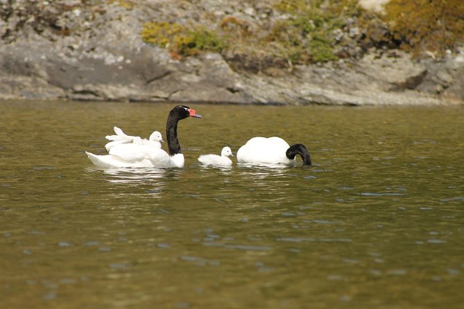Shore Excursion - National Park Tierra del Fuego - Group size: the most important booking warning