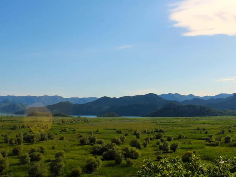 Skadar Lake National Park: Guided Boat Tour to Kom Monastery - Who should book this Lake Skadar tour?