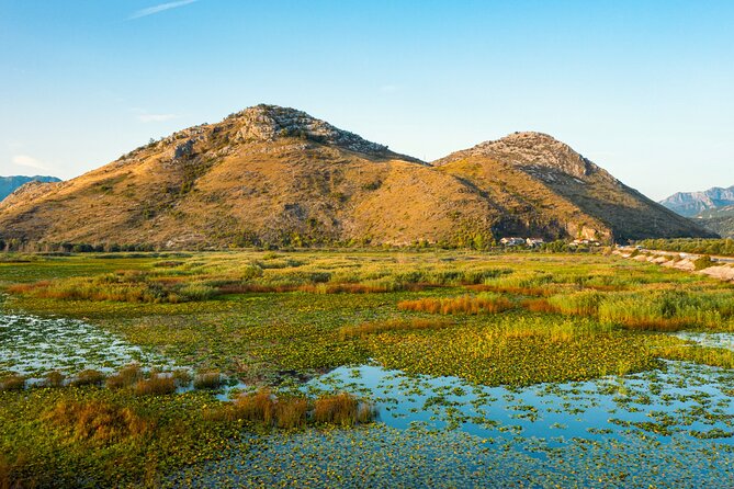 Skadar Lake National Park: Guided Boat Tour with Wooden Boat - The ten-minute swim in Lake Skadar
