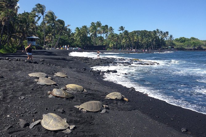 Small-Group Big Island Tour: Hawaii Volcanoes National Park and Kona Coffee Farm - The early ride through Kona coffee country