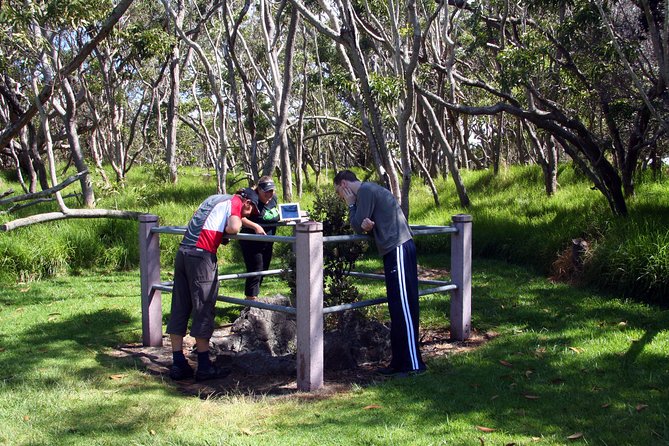 Small-Group Big Island Tour: Hawaii Volcanoes National Park and Kona Coffee Farm - Who will enjoy this tour most