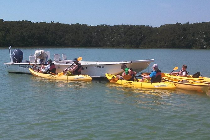 Small Group Boat, Kayak and Walking Guided Eco Tour Everglades - What this Everglades tour actually feels like