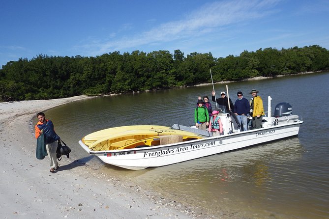 Small Group Boat, Kayak and Walking Guided Eco Tour Everglades - How difficult is the activity?