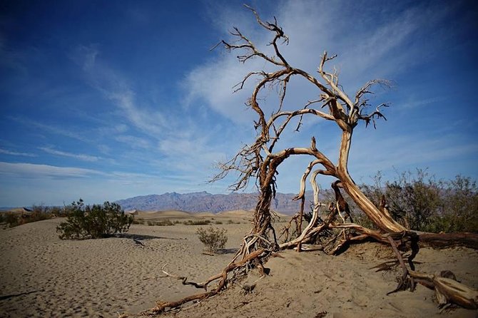 Small-Group Death Valley National Park Day Tour from Las Vegas - Devil’s Golf Course and Furnace Creek