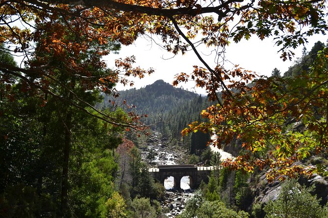 Small Group Geres National Park Full Day with picnic from Porto - How much value does the $120.93 price offer?