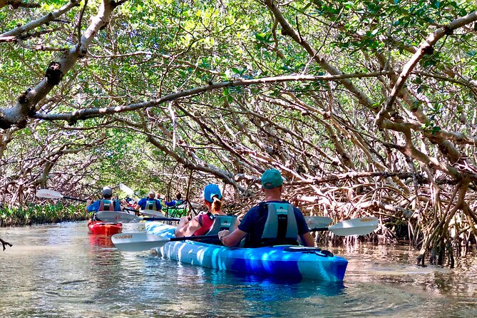 Small Group Kayak Tour of the Shell Key Preserve - What the Shell Key paddle is really like