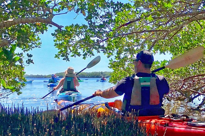 Small Group Kayak Tour of the Shell Key Preserve - How hard is the three-hour tour?