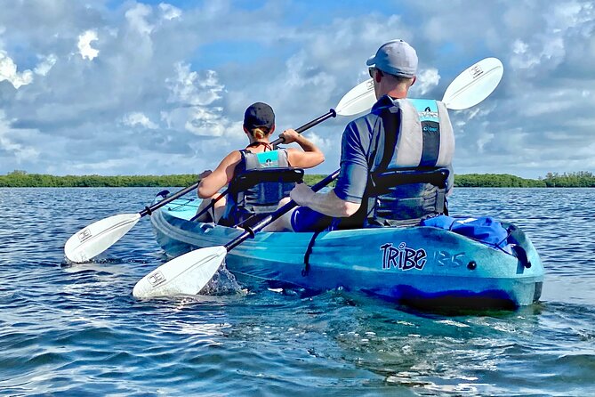 Small Group Kayak Tour of the Shell Key Preserve - Is $79 a fair price?