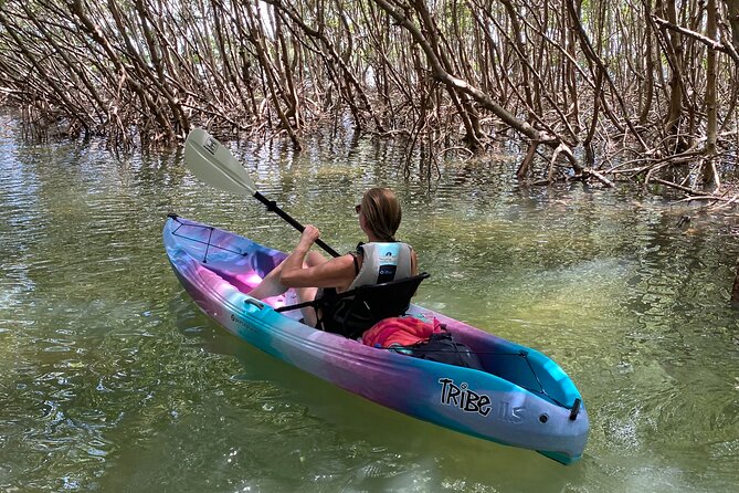 Small Group Kayak Tour of the Shell Key Preserve - Choosing your guide and group experience
