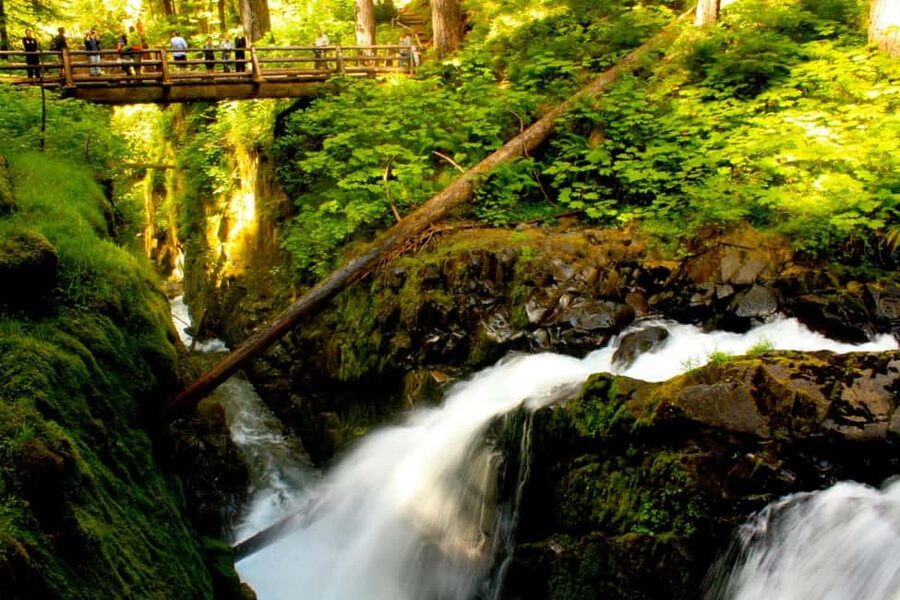 Small Group: Olympic National Park Day Tour From Seattle - What this Olympic National Park tour really offers