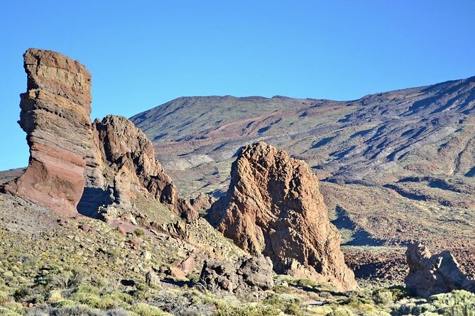 Small Group Teide National Park Volcanic and Forest Wonders - The essential points at a glance