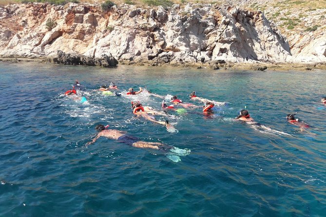 Snorkeling marine protected area Tavolara - Tavolara’s great wall from the sea