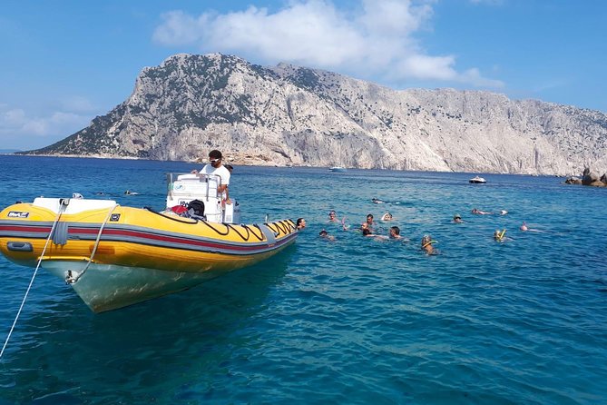 Snorkeling marine protected area Tavolara - Why the guides matter on this trip