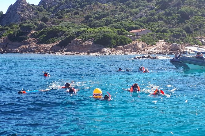 Snorkeling marine protected area Tavolara - Price and what the $84.69 covers