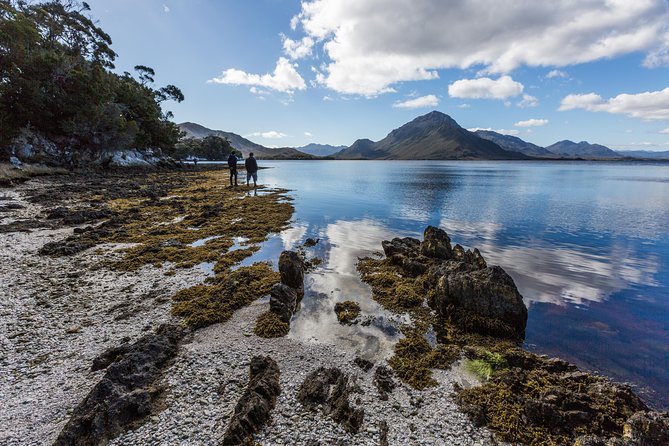 Southwest Tasmania Wilderness Experience: Fly Cruise and Walk Including Lunch - Lunch, drinks, and the timing of the day