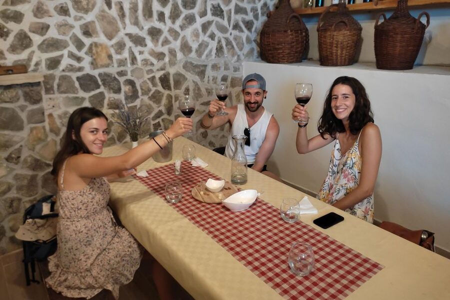 Split: Krka National Park Full-Day Tour with Wine Tasting - Guides, drivers, and the group experience