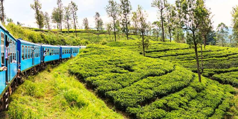 Sri Lanka: 2-Day wildlife tour; rainforest and National park - Key points at a glance