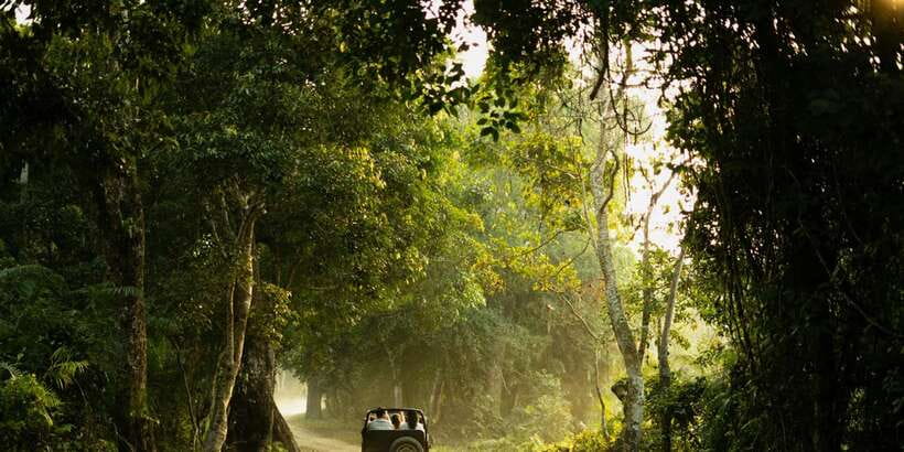 Sri Lanka: 2-Day wildlife tour; rainforest and National park - Who should book this trip?