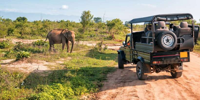 Sri Lanka: 2-Day wildlife tour; rainforest and National park - The overnight stay: practical, not luxurious