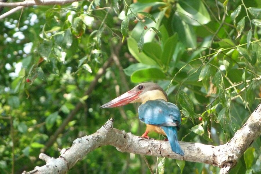 Sri Lanka: 2-Day wildlife tour; rainforest and National park - Ella to Nanu Oya: Sri Lanka’s famous blue train