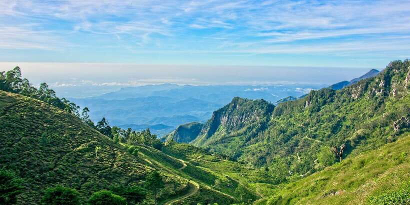 Sri Lanka: 2-Day wildlife tour; rainforest and National park - Nuwara Eliya, tea, and Gregory Lake