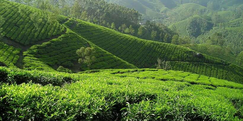 Sri Lanka: 2-Day wildlife tour; rainforest and National park - The driving makes or breaks the experience