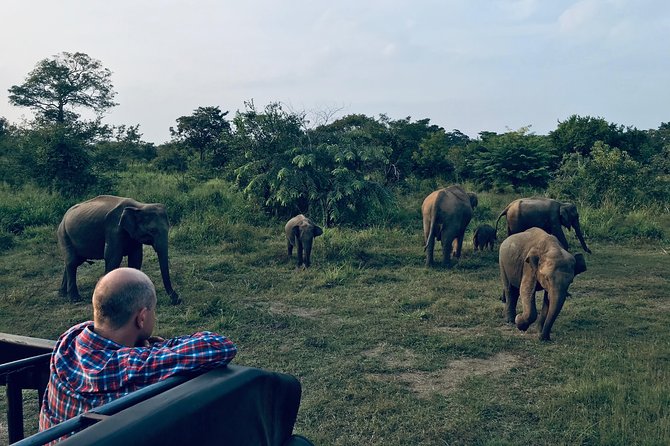Sri Lanka Wild Life Uniqe Safari 26 - Key points to know before you book