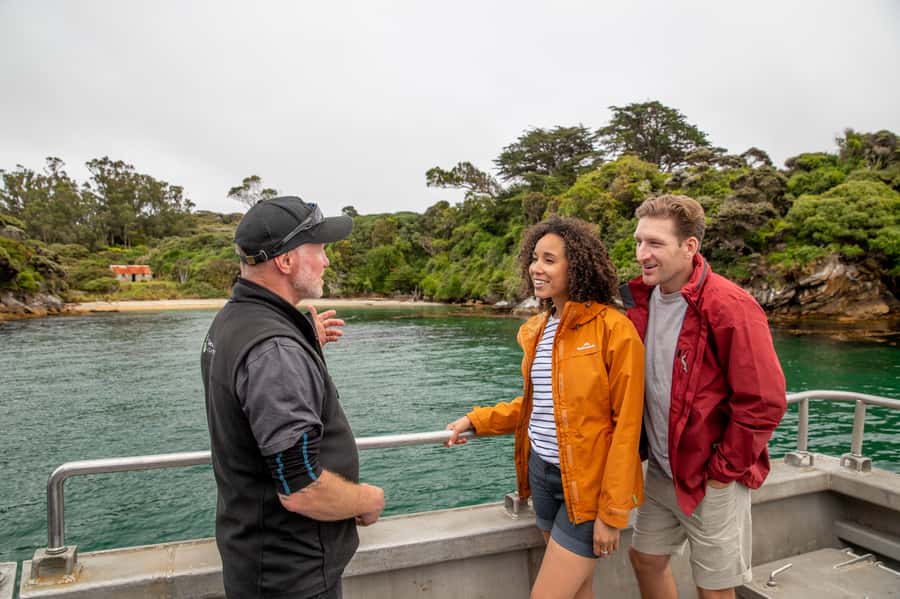 Stewart Island: Ulva Island Guided Wilderness Walk & Cruise - Key points to know before booking