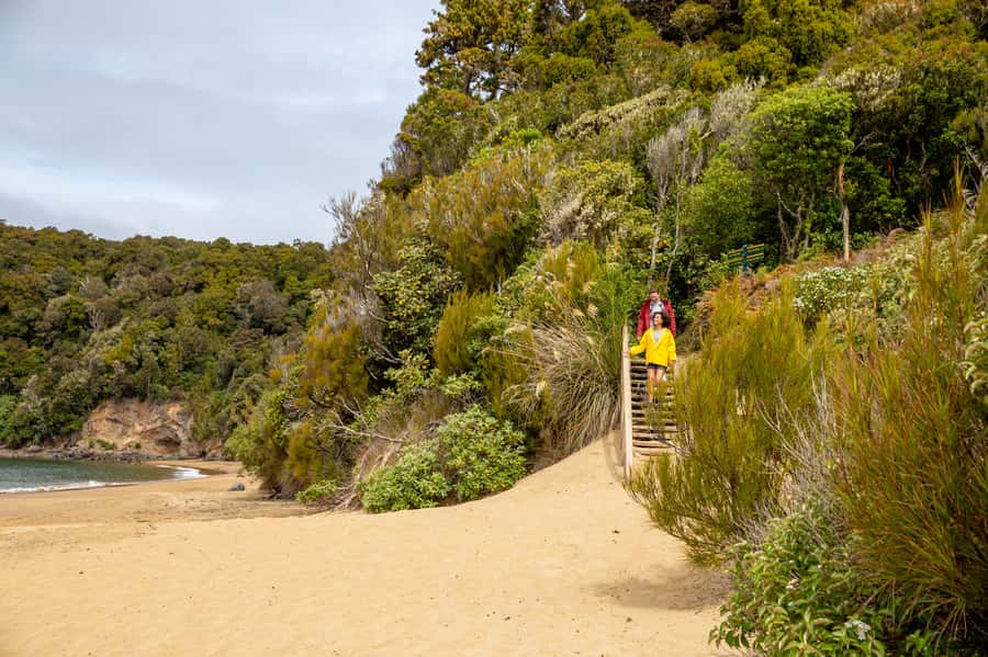 Stewart Island: Ulva Island Guided Wilderness Walk & Cruise - Should you book the guided cruise and walk?