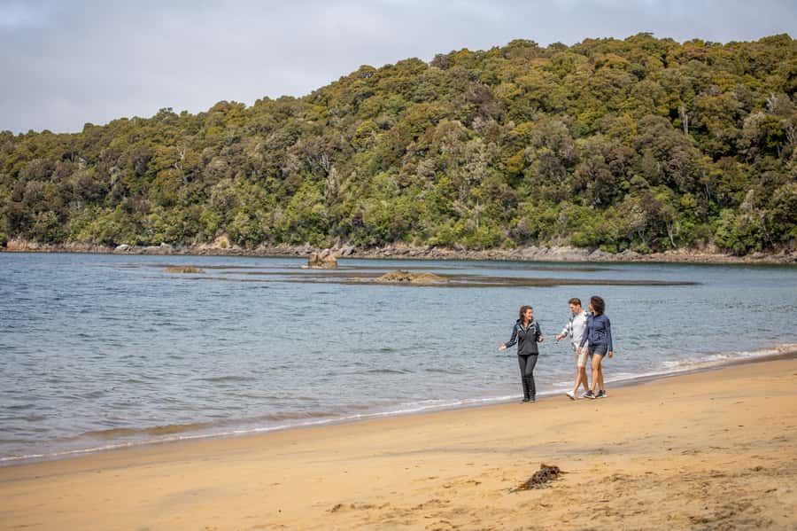 Stewart Island: Ulva Island Guided Wilderness Walk & Cruise - Landing on Ulva Island Wildlife Sanctuary