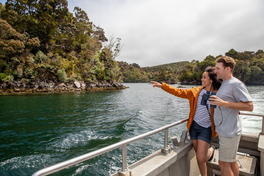 Stewart Island: Ulva Island Guided Wilderness Walk & Cruise - Birds, plants, and the art of looking closely