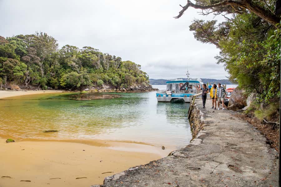 Stewart Island: Ulva Island Guided Wilderness Walk & Cruise - Guides who make the difference