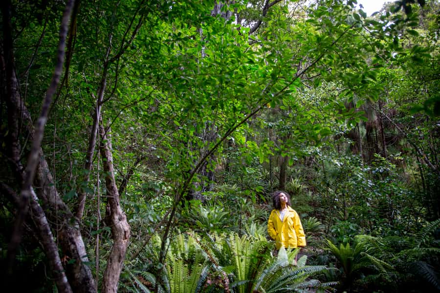 Stewart Island: Ulva Island Guided Wilderness Walk & Cruise - The return cruise around Paterson Inlet