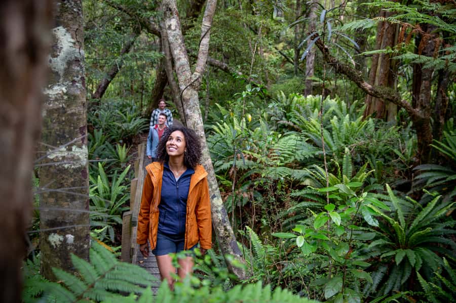 Stewart Island: Ulva Island Guided Wilderness Walk & Cruise - Who will enjoy this Ulva Island trip?