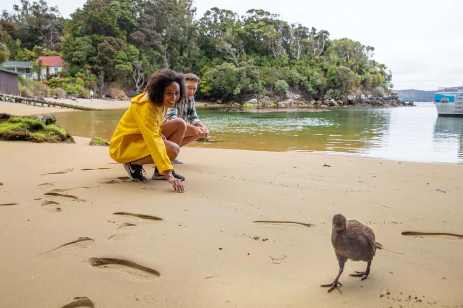 Stewart Island: Ulva Island Guided Wilderness Walk & Cruise - Paterson Inlet by catamaran