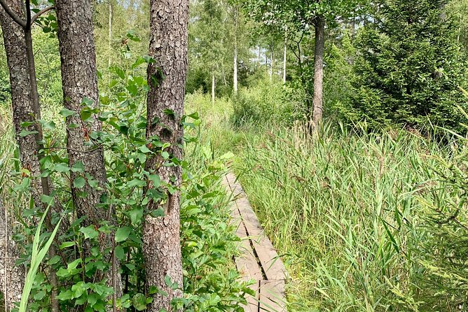 Stockholm: Nature Reserve Hiking Tour with Campfire Lunch - What the $138 price buys you