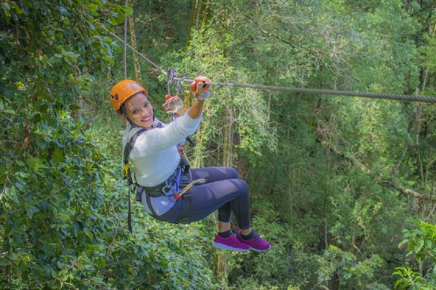 Storms River: Tsitsikamma National Park Zipline Canopy Tour - Ten platforms through the yellowwoods